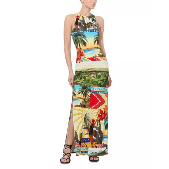ALICE + OLIVIA Pania Print Sleeveless Maxi Dress - Picture 1 of 12